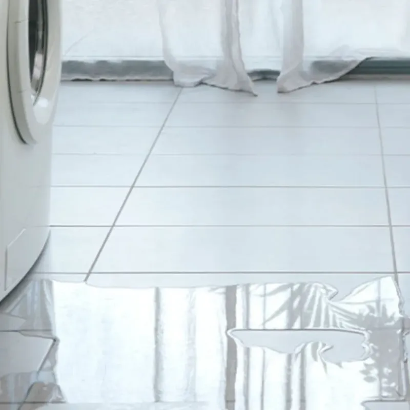Appliance Leak Cleanup in Three Rivers, CA