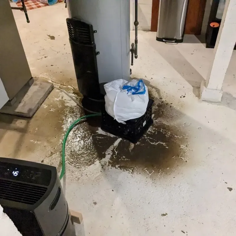 Sewage Backup Cleanup Service in Three Rivers, CA